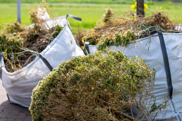 Best Yard Waste Removal  in Northridge, OH